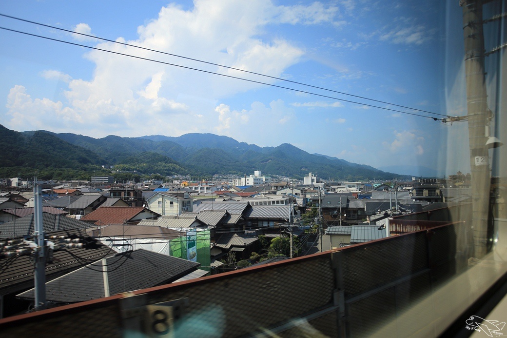 IMG_1426.jpg
