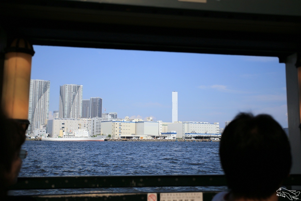 IMG_3017.jpg