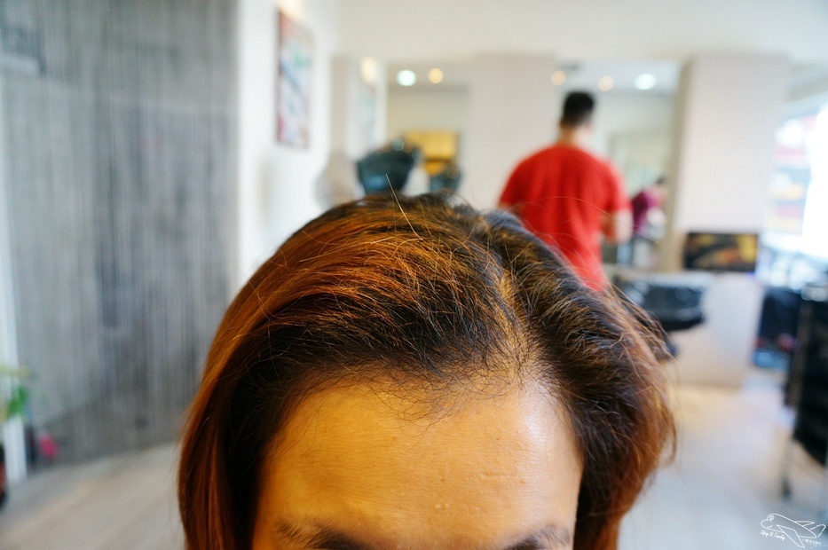 DSC05886.jpg