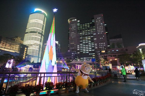 IMG_8228.jpg