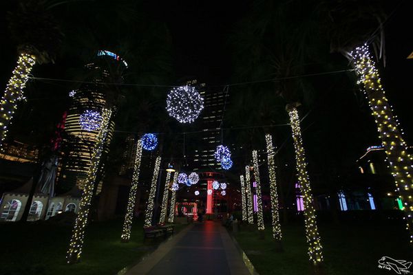 IMG_8268.jpg