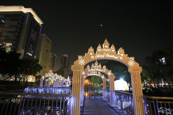 IMG_8317.jpg