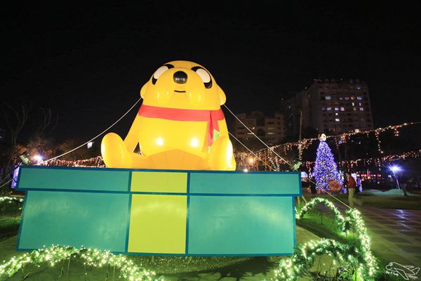 IMG_8341.jpg