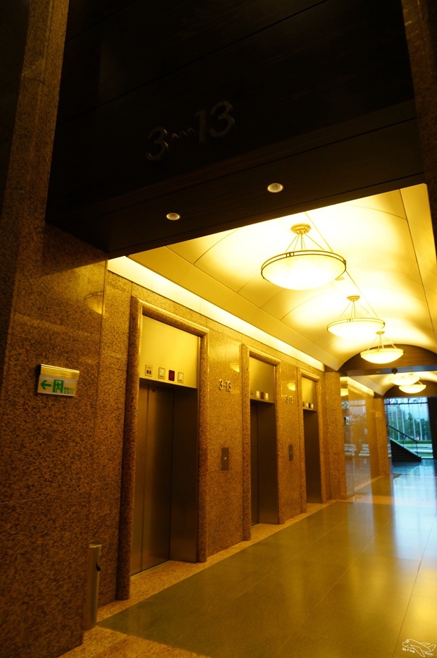 DSC08380.jpg