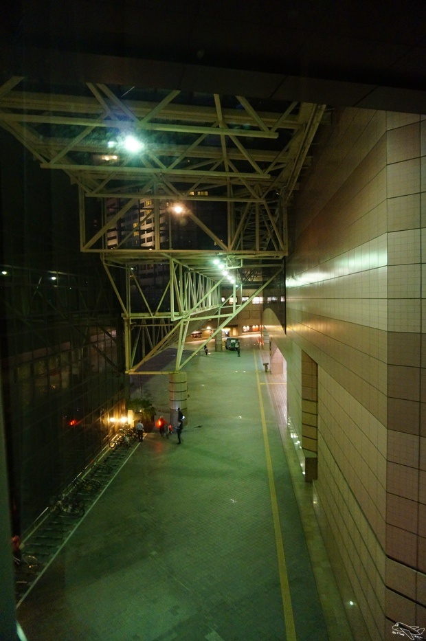 DSC08441.jpg
