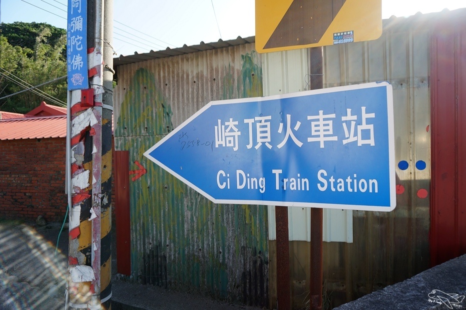 DSC09008.jpg