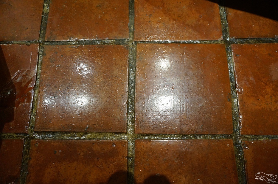 DSC09555.jpg