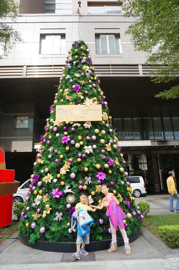 DSC00369.jpg