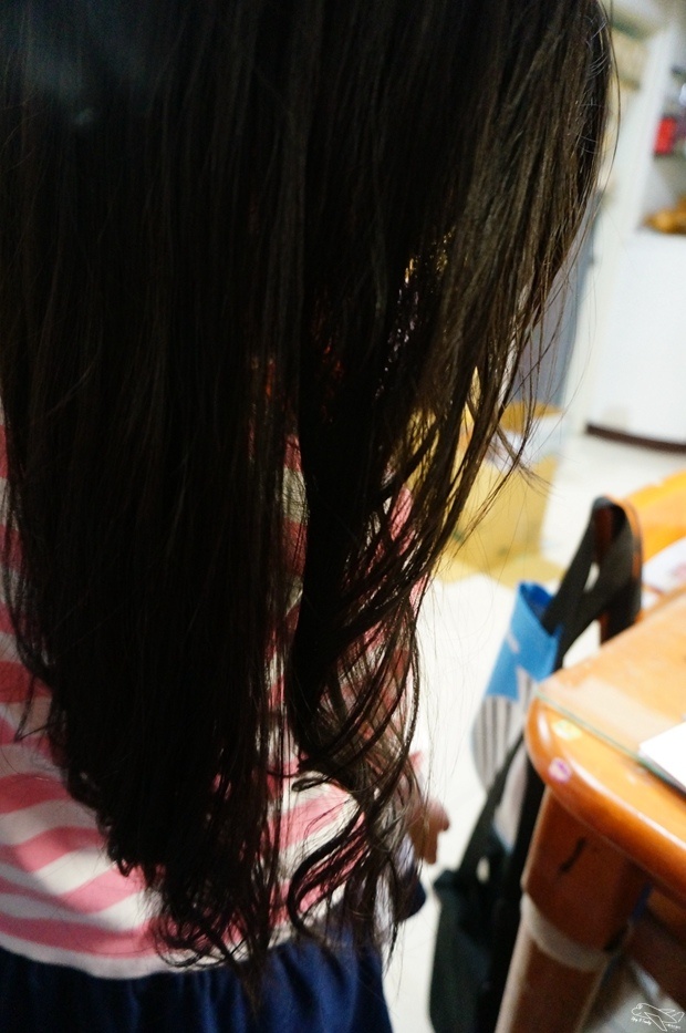 DSC00522.jpg