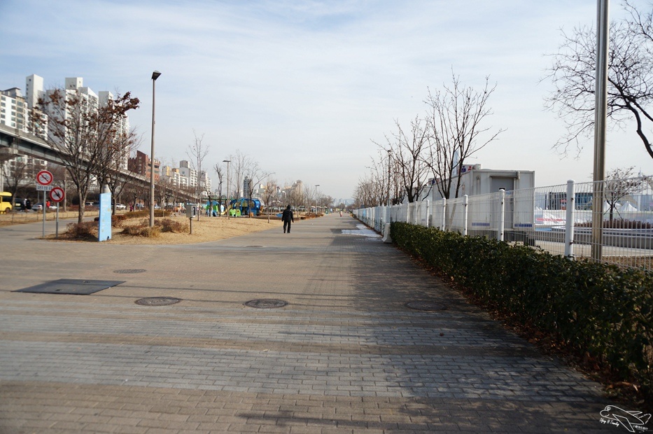 DSC01003.jpg