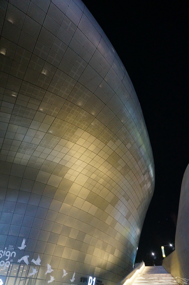 DSC01160.jpg