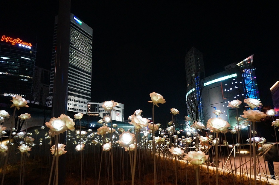 DSC01176.jpg