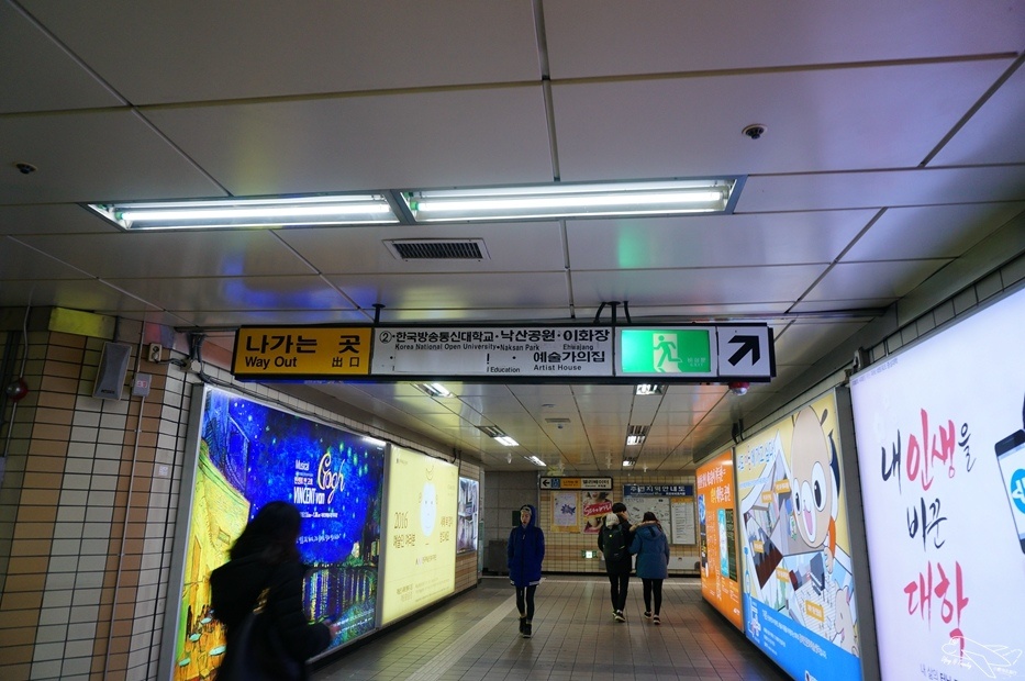 DSC01335.jpg