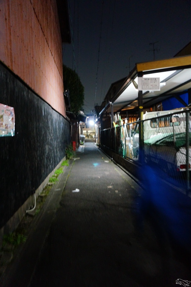 DSC02020.jpg