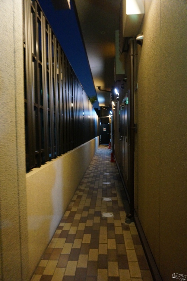 DSC02036.jpg