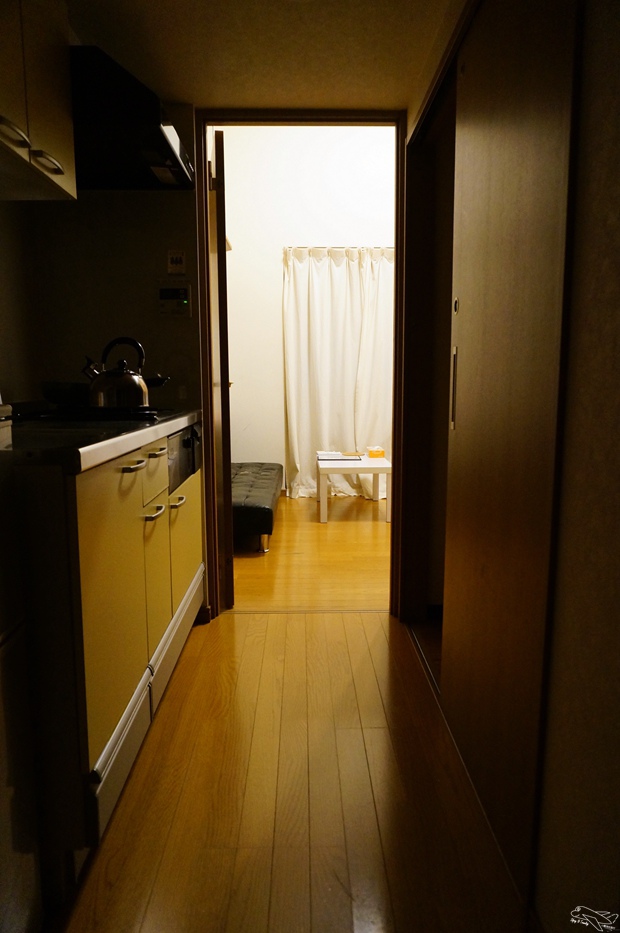 DSC02037.jpg