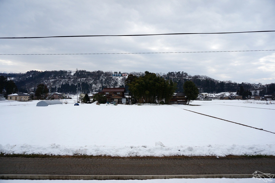 DSC02652.jpg