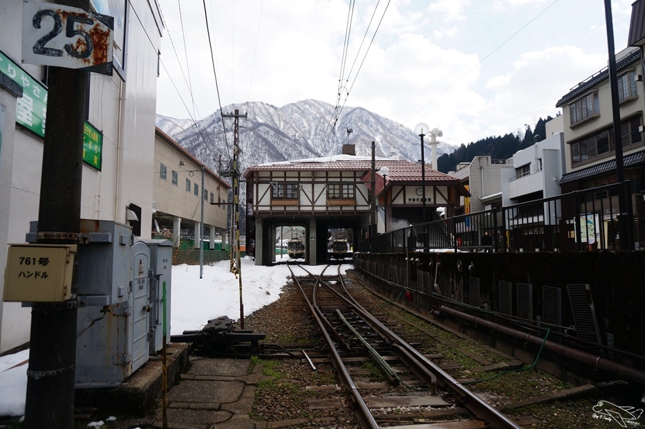DSC02694.jpg