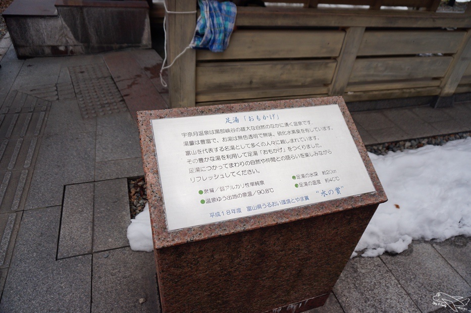 DSC02707.jpg