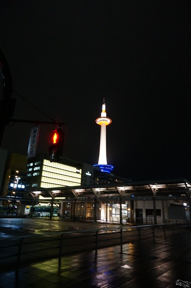 DSC03017.jpg