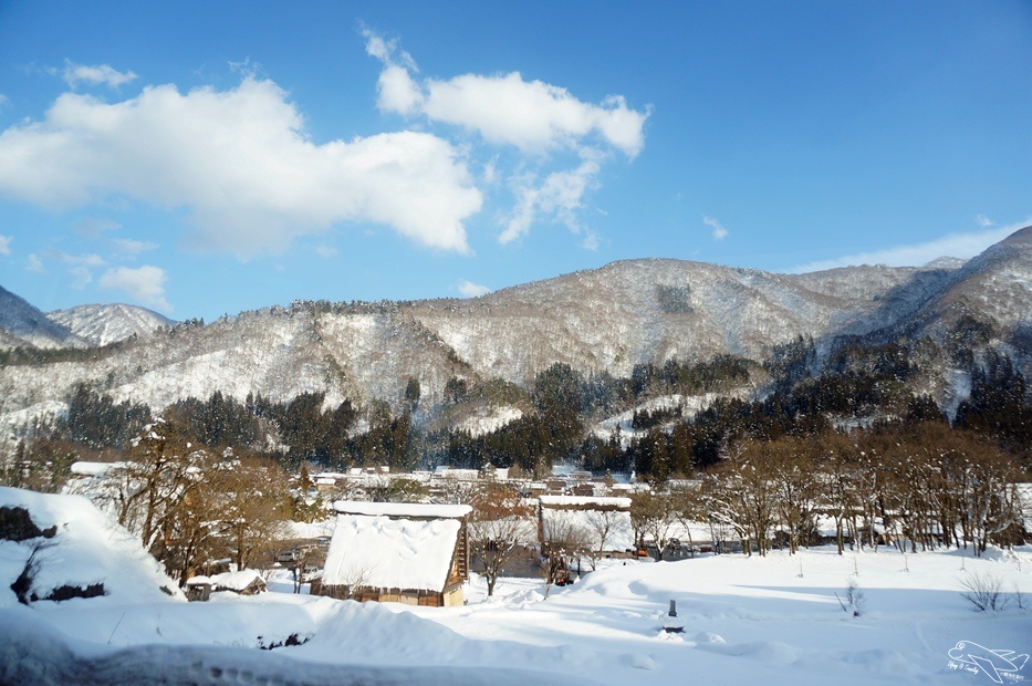 DSC02601.jpg