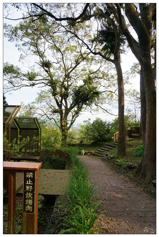 DSC06692.jpg