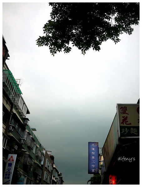 P1000411.jpg