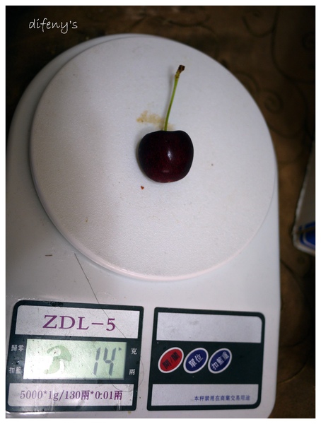 [日子的顏色]一年一次的櫻桃饗宴