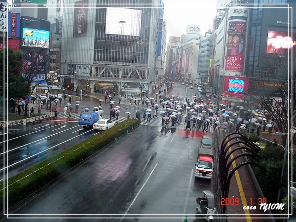 DSC09992.jpg