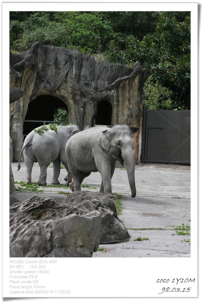 [coco1歲]木柵動物園看貓熊