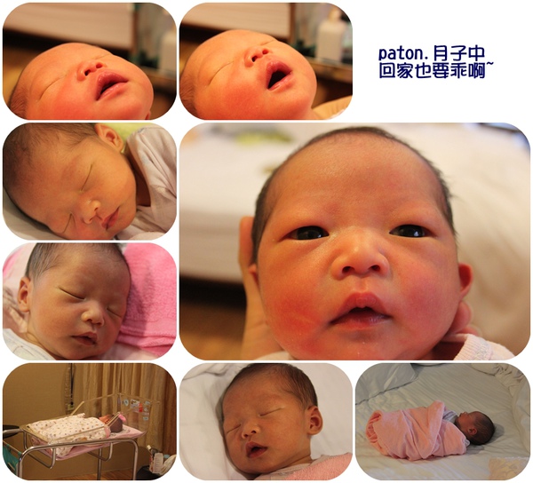兜豆.jpg