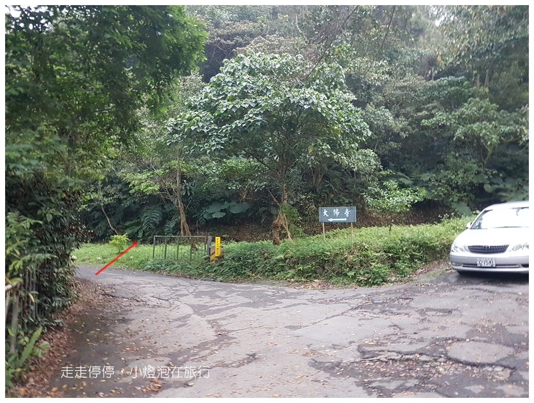 2021台北和美山步道螢火蟲・免費賞螢～新店捷運站步行10分鐘可抵達～