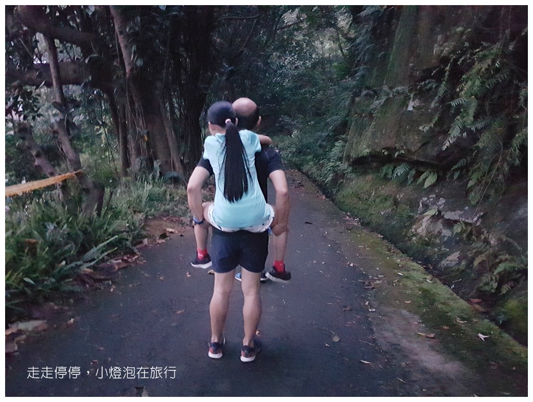 2021台北和美山步道螢火蟲・免費賞螢～新店捷運站步行10分鐘可抵達～