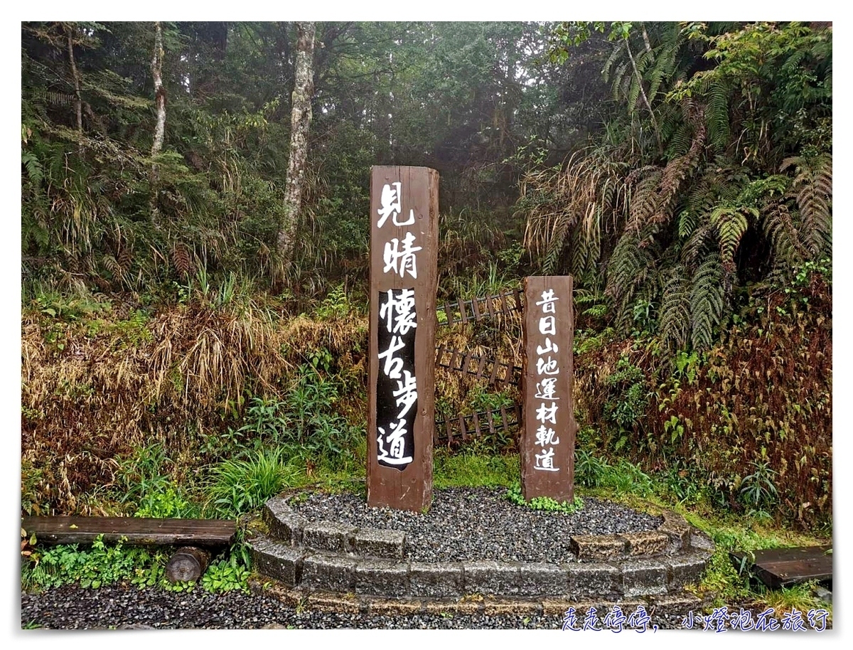 世界最美28條小路之一｜宜蘭太平山。見晴懷古步道，see the clear，讓心放空、讓身子舒坦的絕美火紅步道～