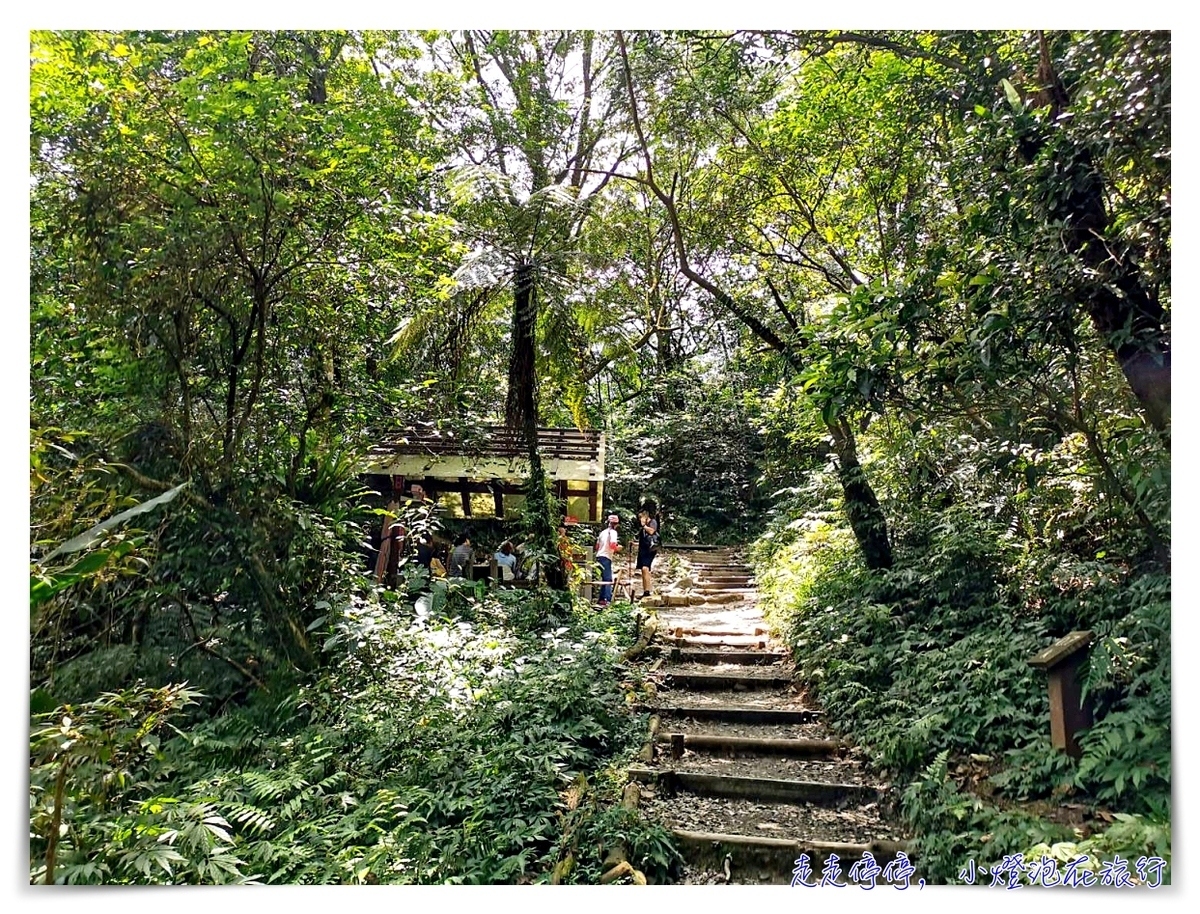 宜蘭抹茶山攻略｜礁溪聖母山莊抹茶山位置、裝備、路線、沿途注意事項、以及交通等建議～台灣版朝聖之路～