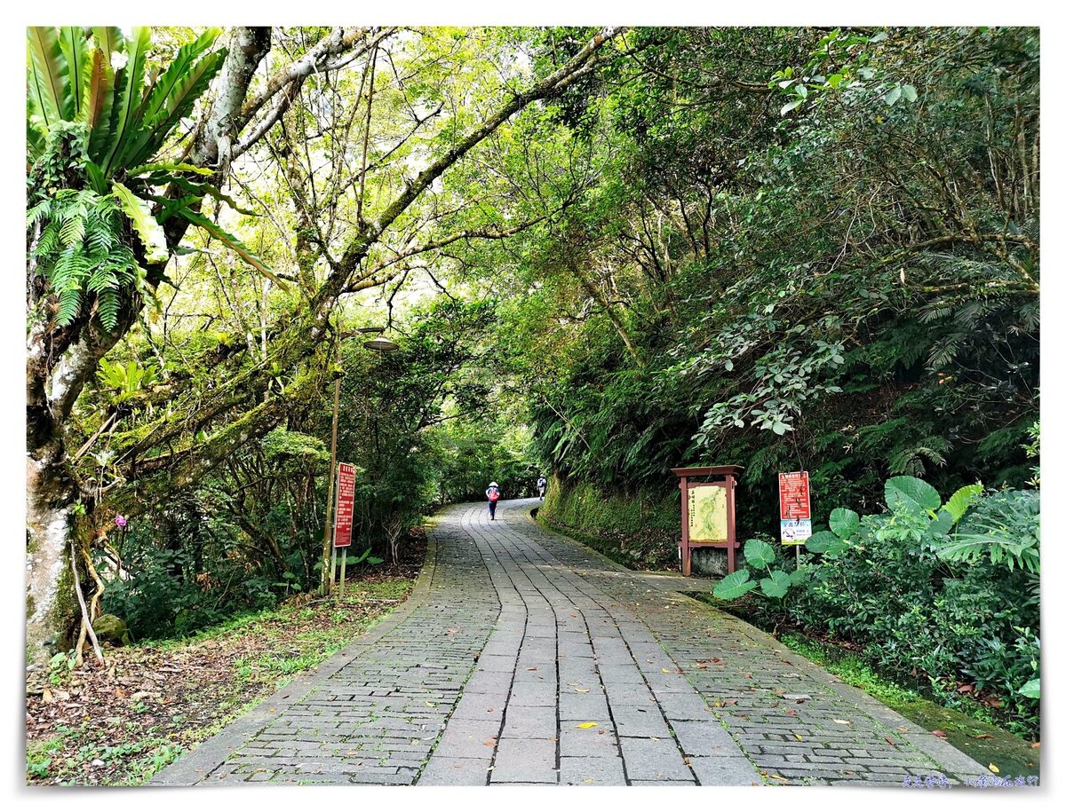 宜蘭抹茶山攻略｜礁溪聖母山莊抹茶山位置、裝備、路線、沿途注意事項、以及交通等建議～台灣版朝聖之路～