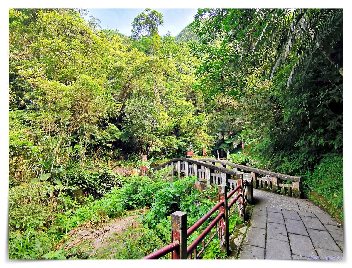 宜蘭抹茶山攻略｜礁溪聖母山莊抹茶山位置、裝備、路線、沿途注意事項、以及交通等建議～台灣版朝聖之路～
