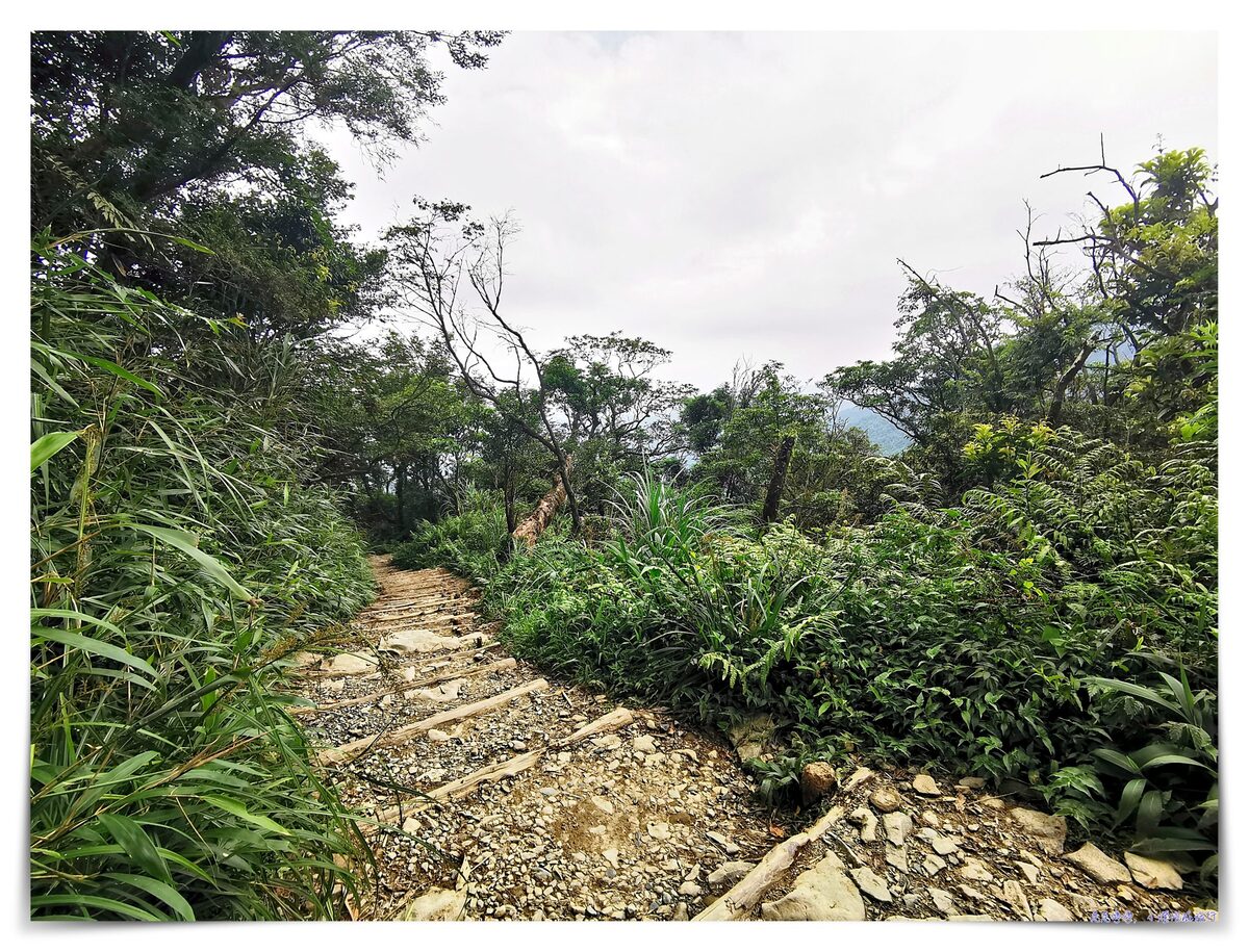 宜蘭抹茶山攻略｜礁溪聖母山莊抹茶山位置、裝備、路線、沿途注意事項、以及交通等建議～台灣版朝聖之路～