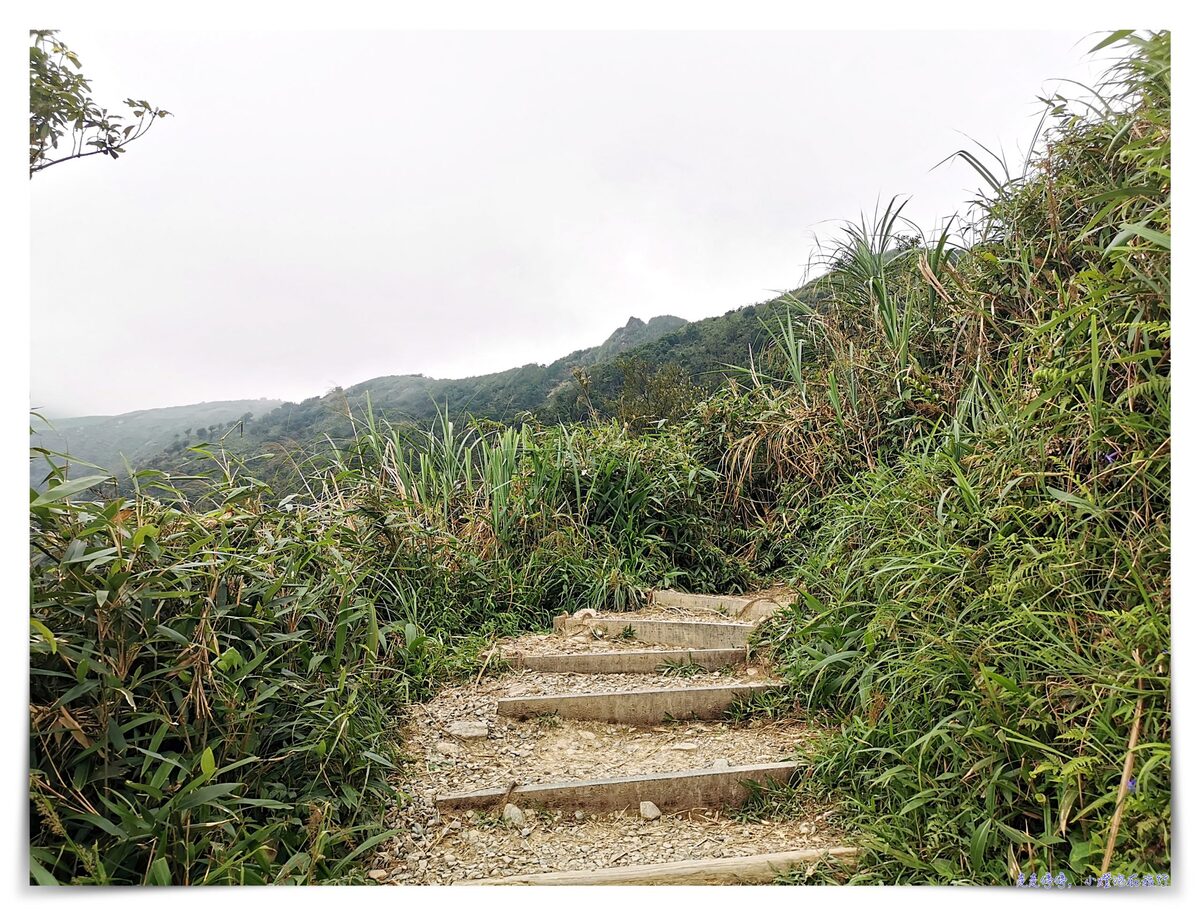 宜蘭抹茶山攻略｜礁溪聖母山莊抹茶山位置、裝備、路線、沿途注意事項、以及交通等建議～台灣版朝聖之路～