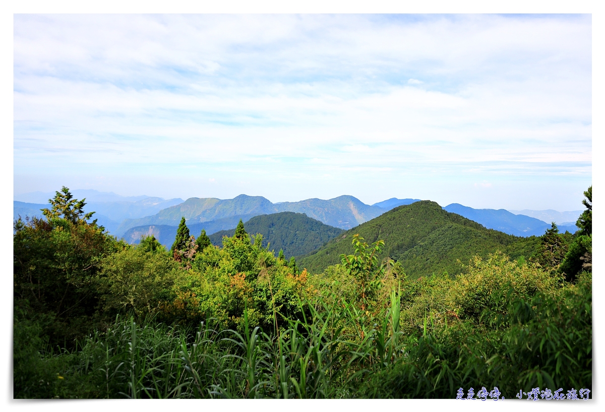 阿里山雲海 傷心山雲海天堂觀景台簡單就可以觀看玉山、看日出、看雲海的觀景平台