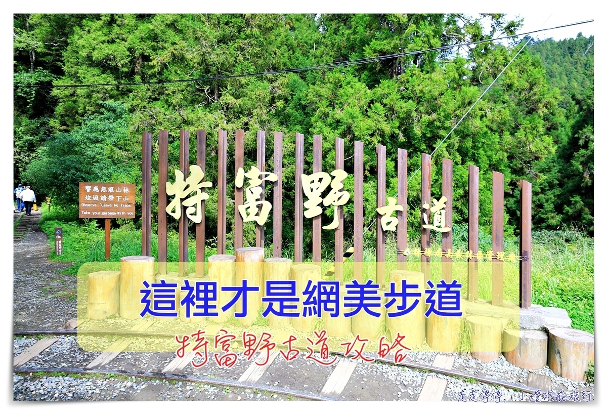 特富野古道攻略｜這才是網美步道、最美森林鐵道。古道、鐵道、森林、橋樑四大特色，平緩好走、美麗好拍～連老人、小孩、小寵物都可以走上一趟～ @走走停停，小燈泡在旅行