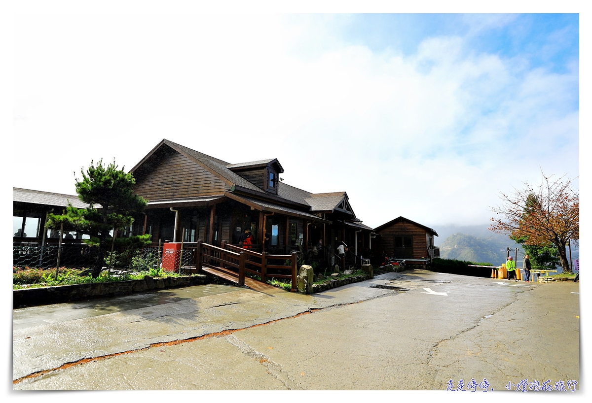 司馬庫斯行程攻略，賞櫻、住宿選擇、交通、景點、注意事項、美食、巨木群步道