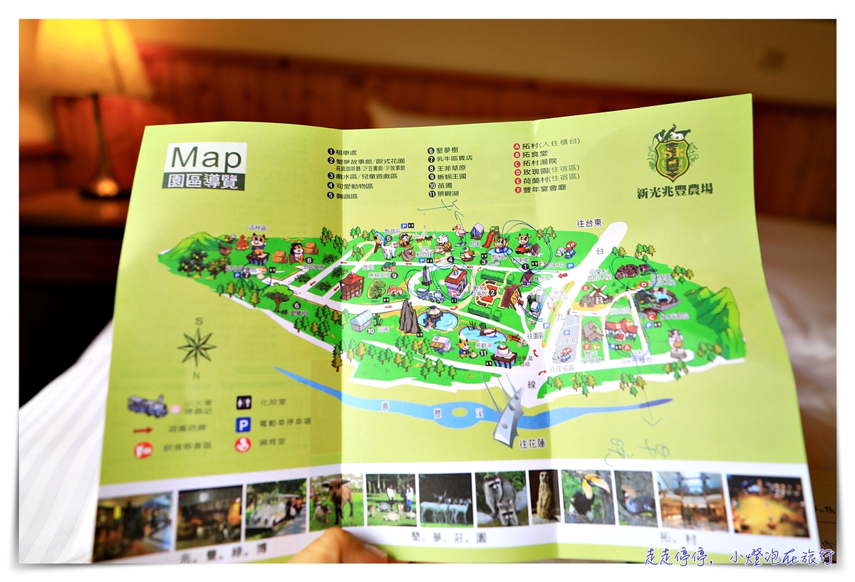 花蓮新光兆豐農場｜走出火車站就到的一站式樂園，溫泉、住宿、歐式莊園、小木屋、媲美動物園的園區