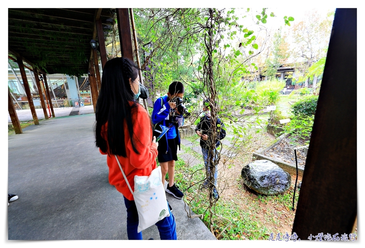 台東安捷親子飛行自由行活動|給孩子一個不一樣的旅行風味冬令營吧~(限時優惠、限定日期) @走走停停,小燈泡在旅行 台東安捷親子飛行自由行活動|給孩子一個不一樣的旅行風味冬令營吧~(限時優惠、限定日期)