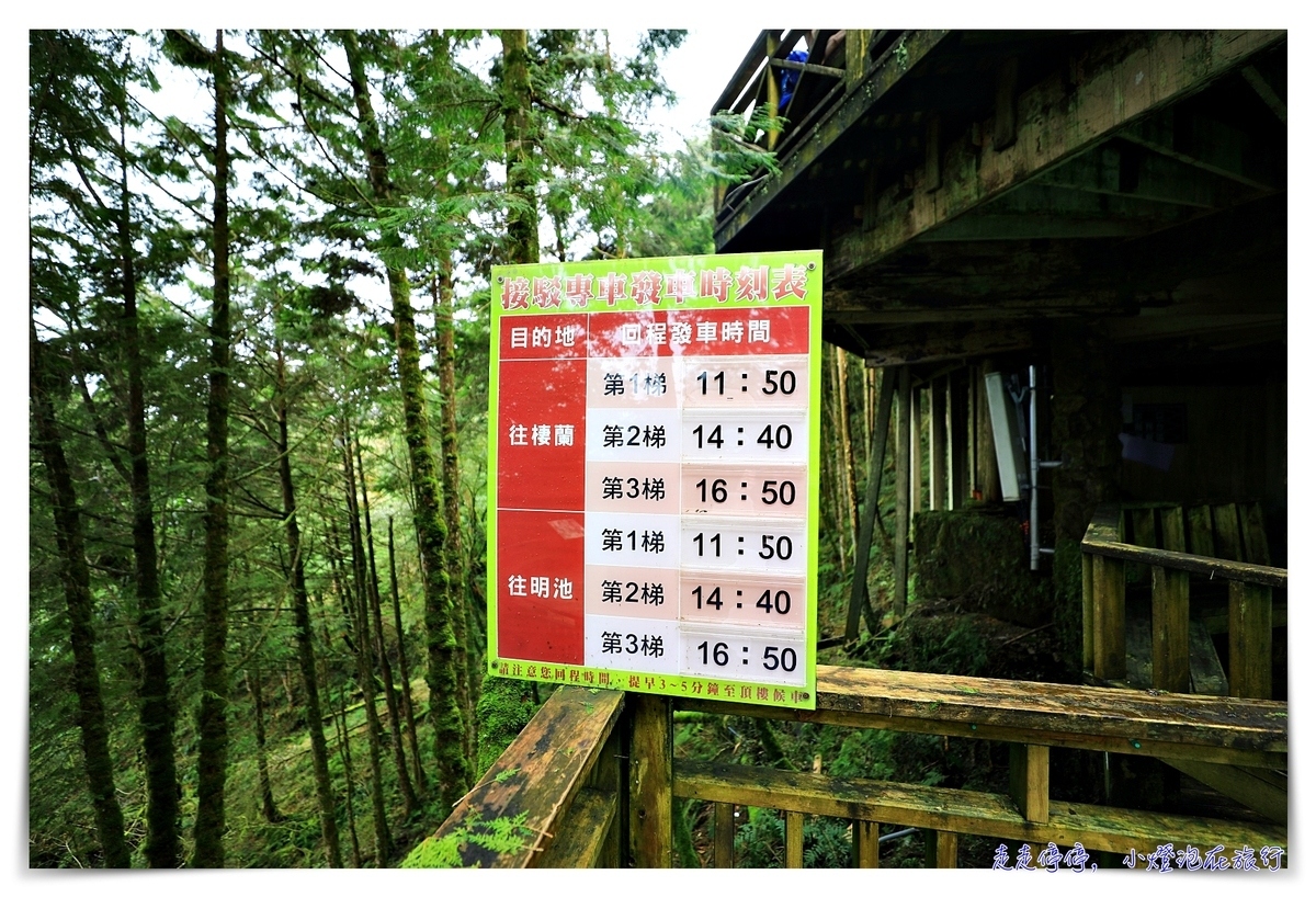 亞洲最大神木園區｜棲蘭森林遊樂區神木園區，看見台灣不一樣的價值瑰麗寶藏，中國古人命名的巨大神木，準世遺名單