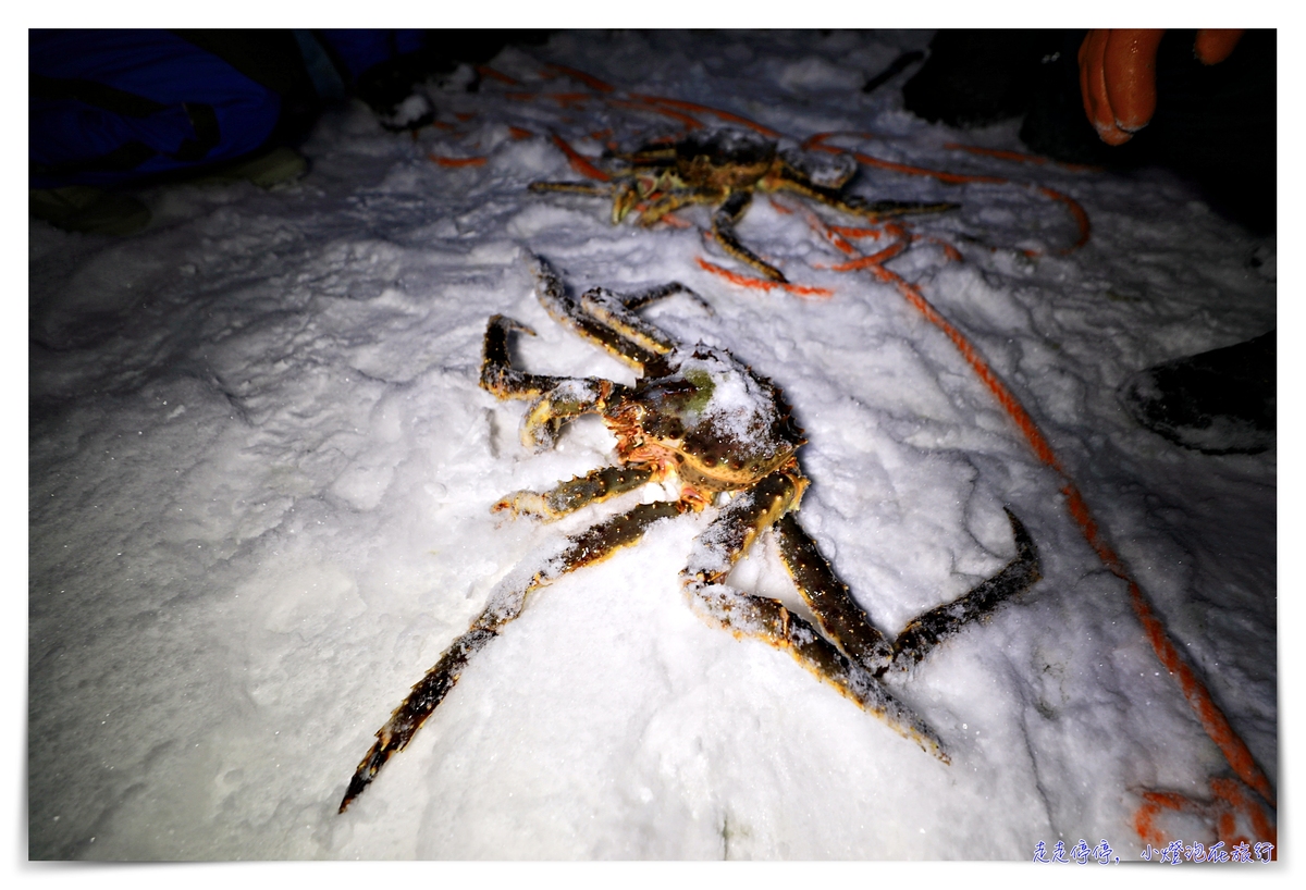 延伸閱讀：挪威帝王蟹吃到飽行程｜Snowhotel Kirkenes King Crab Safari Winter，來一場雪上，來一場雪上抓蟹、大口吃蟹～