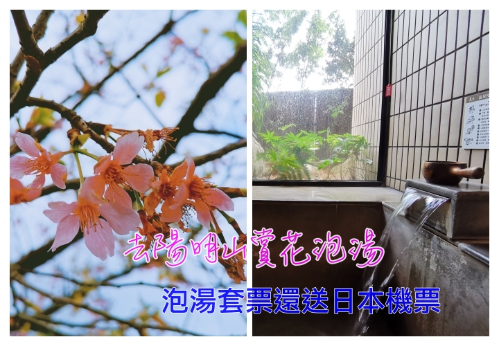 泡湯送機票｜天籟會館風雅湯屋，趁著櫻花季開上山泡湯兼賞花，免費送你機票明年飛出去（溫泉泡湯套票＋虎航不限航點機票大贈送） @走走停停，小燈泡在旅行