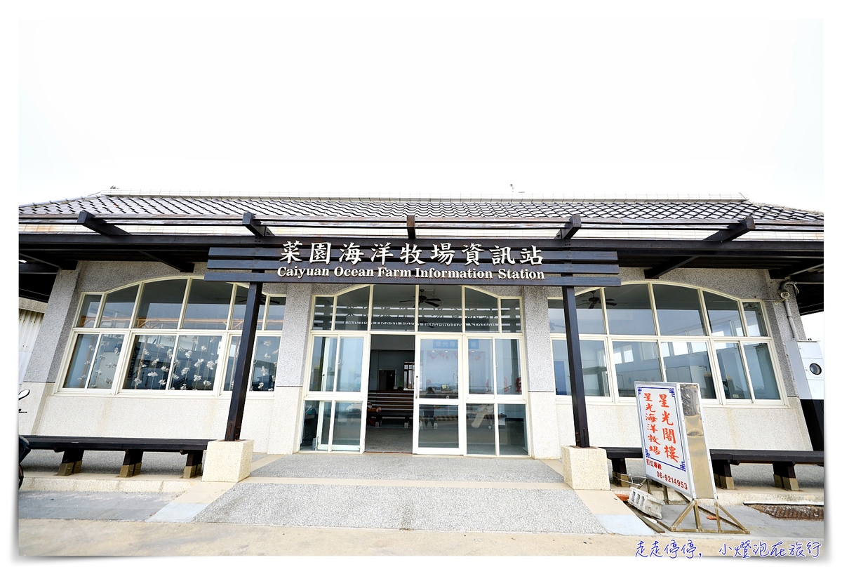 星光海洋牧場烤牡蠣吃到飽｜澎湖經典親子行程，不怕暈船超經典海上行程，輕鬆好入手就可以烤牡蠣吃到飽，你能吃幾顆？