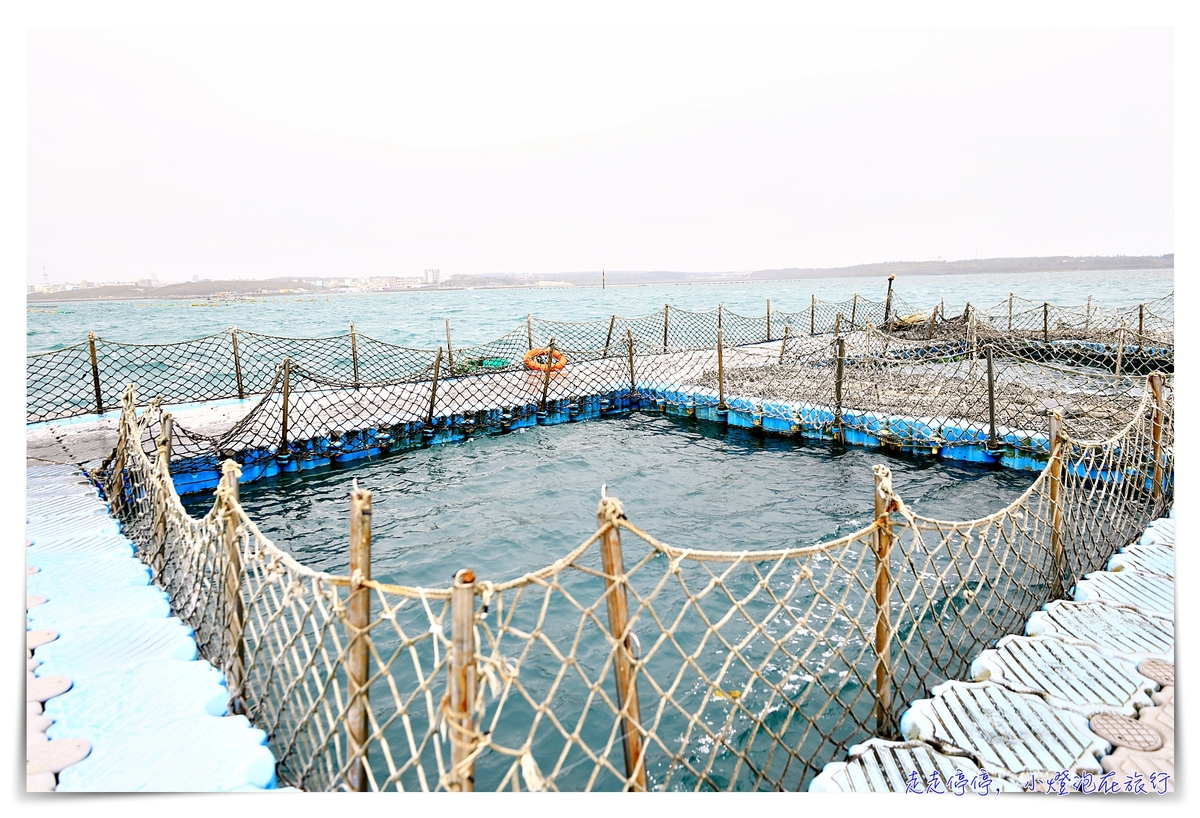 星光海洋牧場烤牡蠣吃到飽｜澎湖經典親子行程，不怕暈船超經典海上行程，輕鬆好入手就可以烤牡蠣吃到飽，你能吃幾顆？