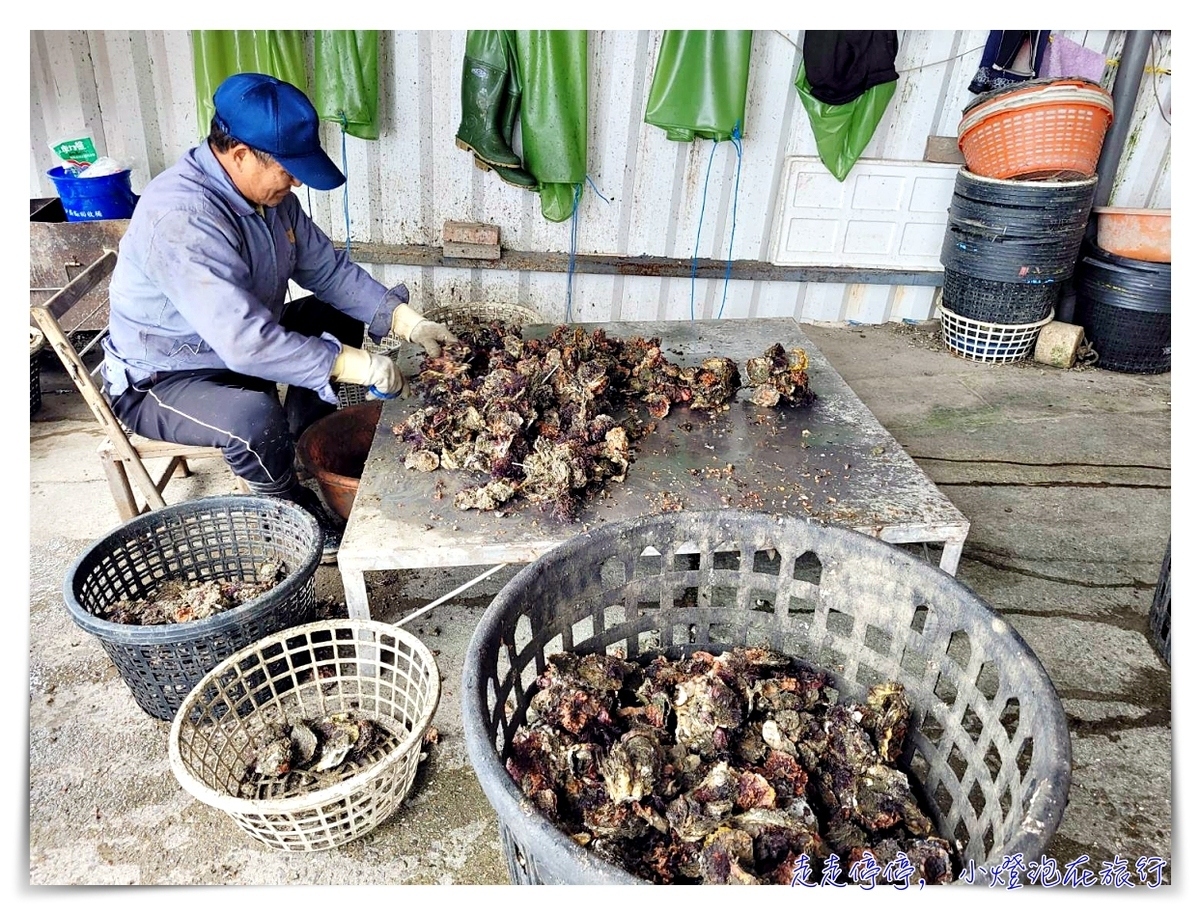 星光海洋牧場烤牡蠣吃到飽｜澎湖經典親子行程，不怕暈船超經典海上行程，輕鬆好入手就可以烤牡蠣吃到飽，你能吃幾顆？
